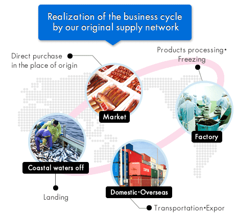 Realization of the business cycle by our original supply network